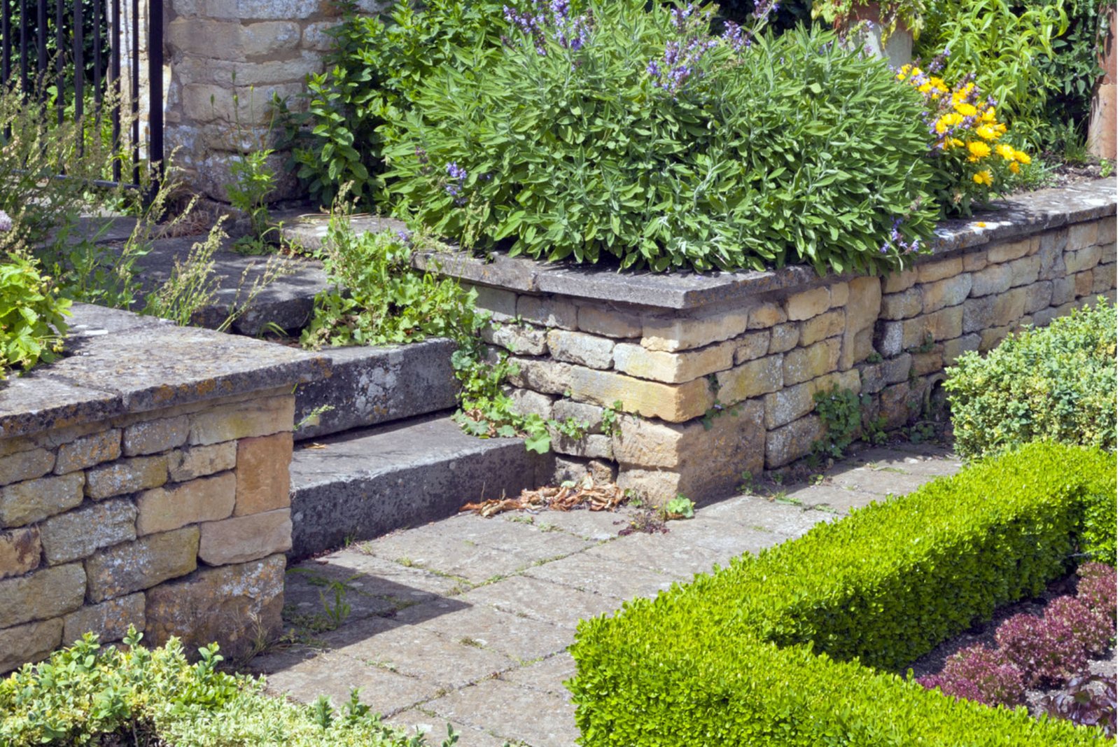 garden wall